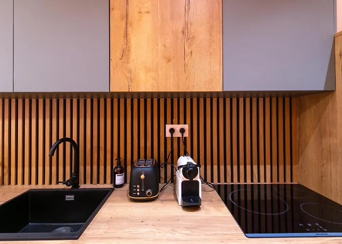 Lassagne - 3 Apartment Lyon